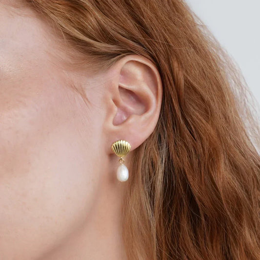Gold Shell Pearl Earrings